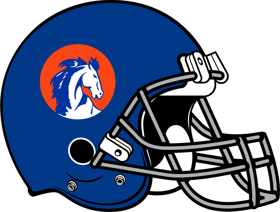 Boise State Broncos 1972-1973 Helmet Logo diy DTF decal sticker